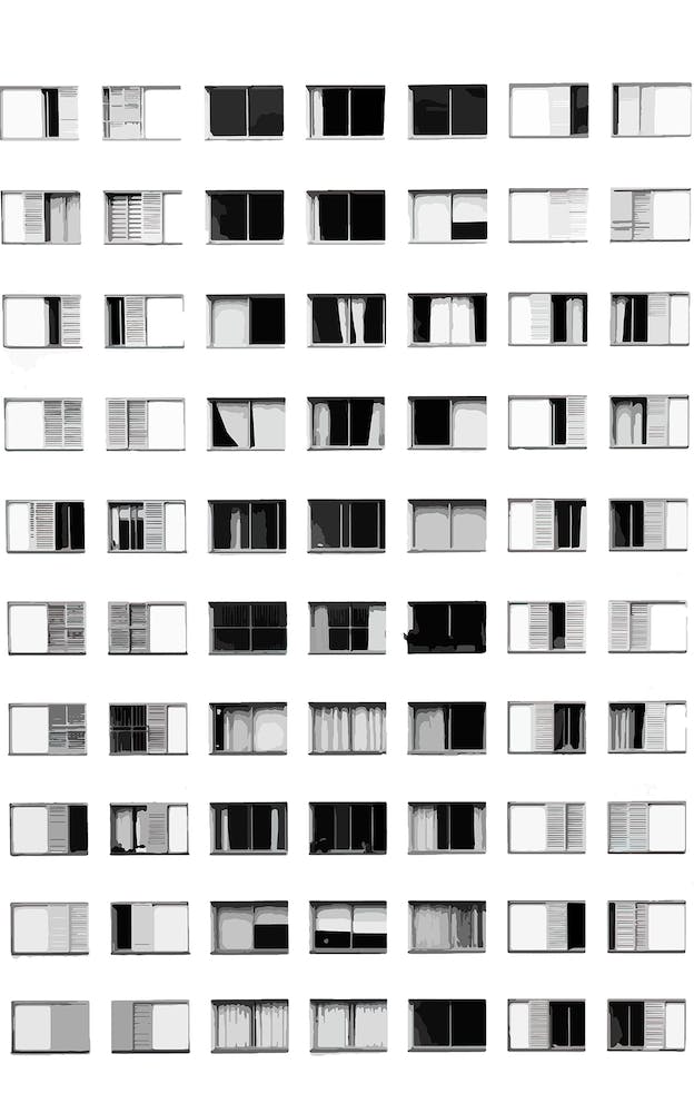 Cleaning Windows