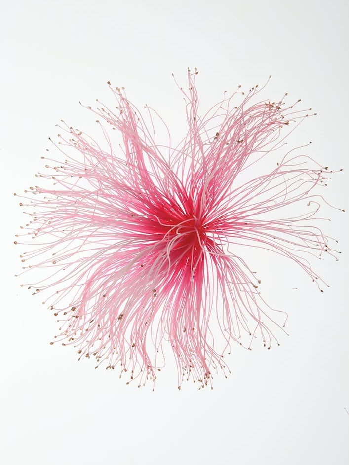 Botanical Paint Brush