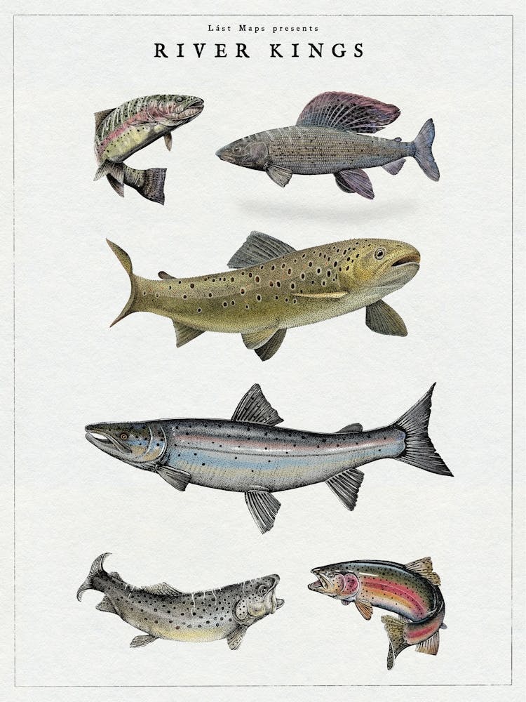 River Kings - Fischfang