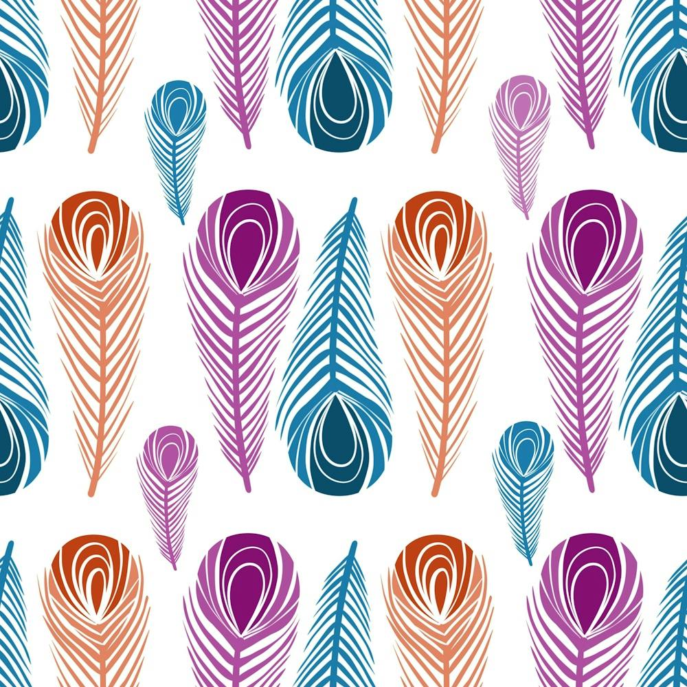 Pen Peacock Colors Colored Pattern