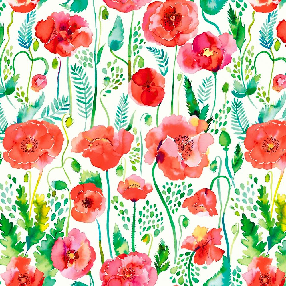Poppies Red Square