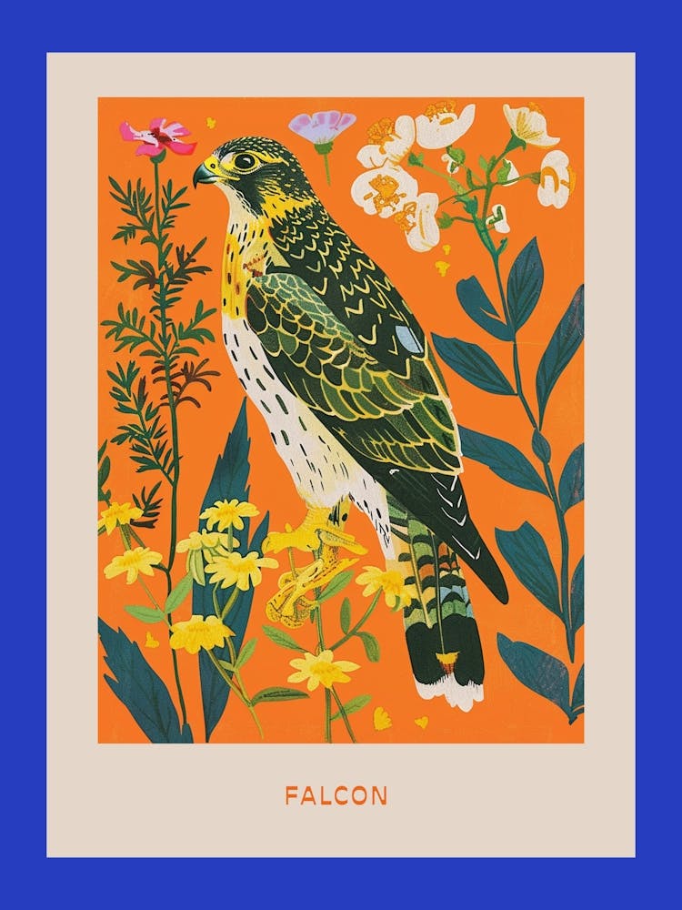 Spring Birds Poster Falcon 1