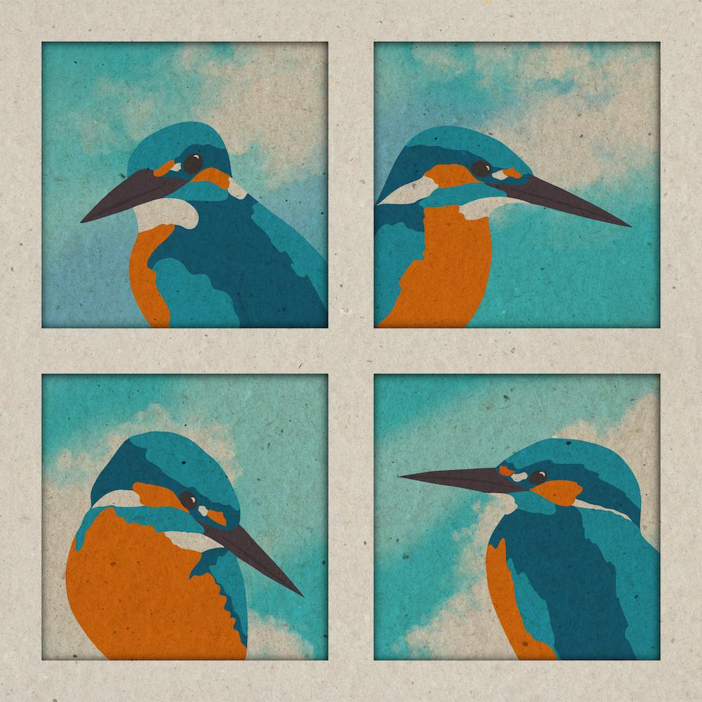 Four Kingfishers, birds, animals, illustration, wall art