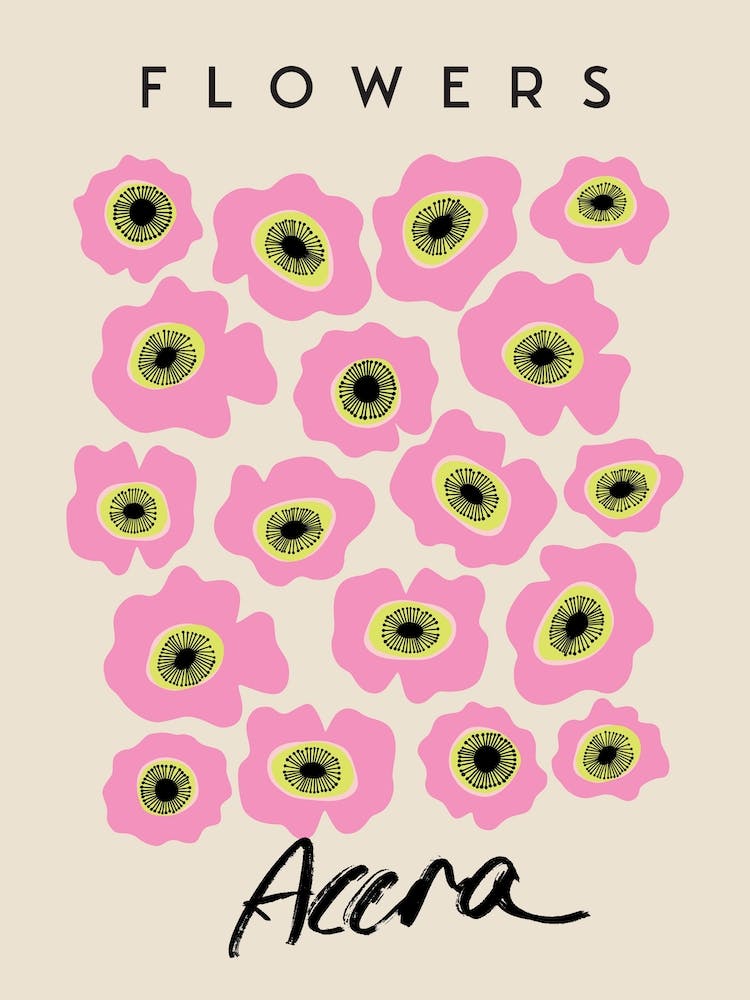 Fleur Rose En Pleine Floraison