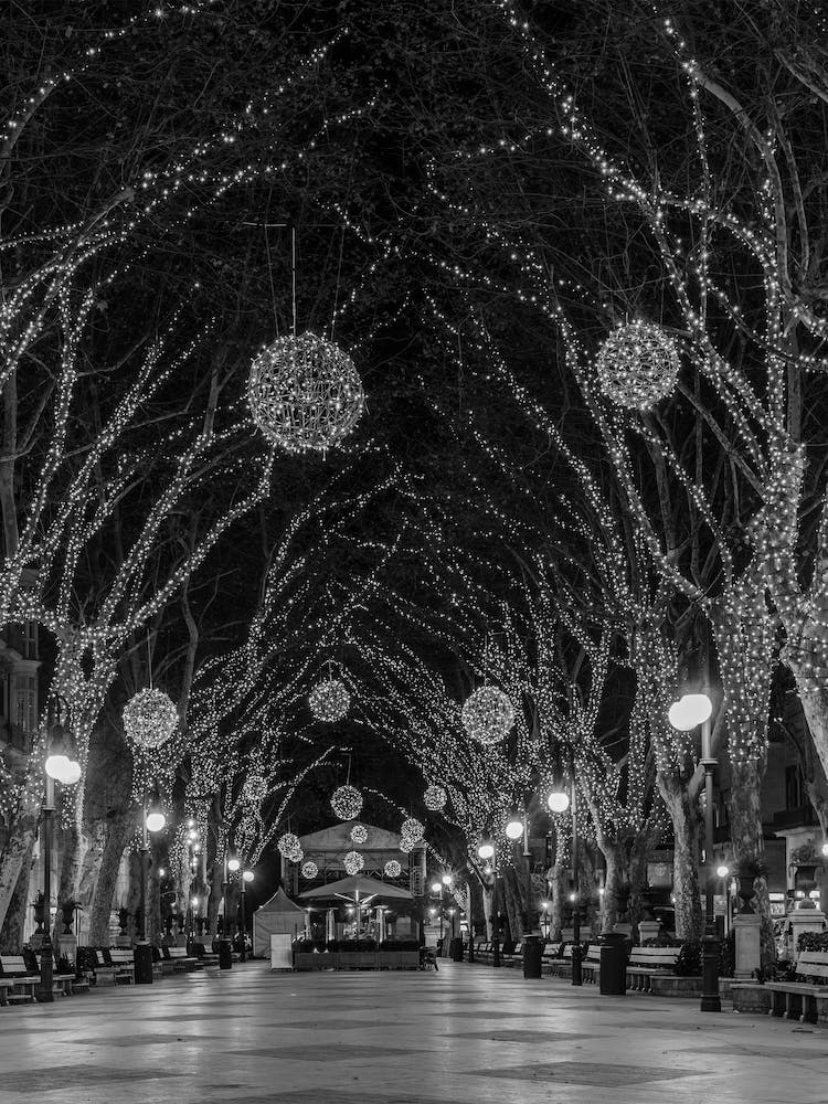 Christmas in Palma de Majorca Spain Balearic islands Illuminated street