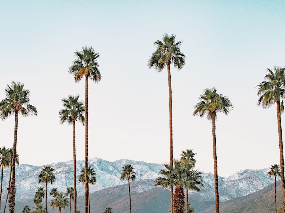 Palm Springs Scenery