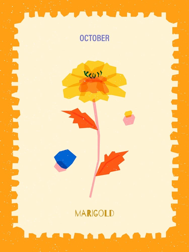 October Birthmonth Flower Marigold 1