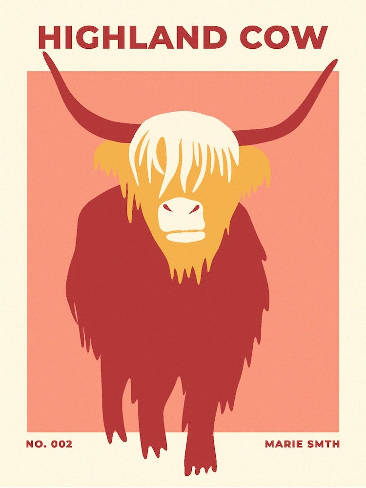 Highland-Rind 1