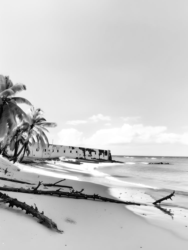 Black And White Beach Scene 6