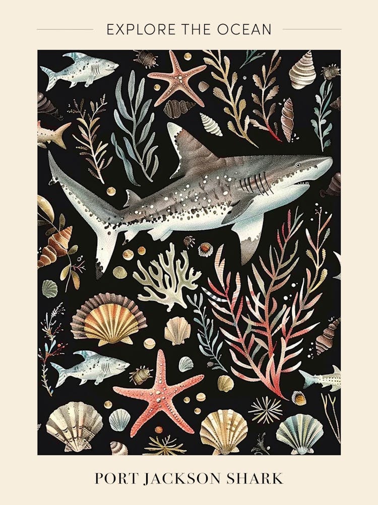 Port Jackson Shark Seascape Black Background Illustration 1 Poster