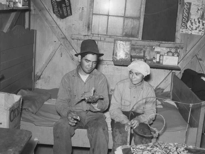 Newly Married Mexican Couple, Beet Workers Near Crookston, Minnesota By Russell Lee