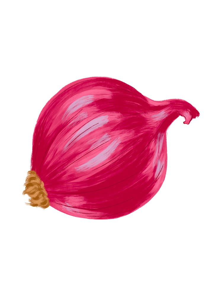 Onion