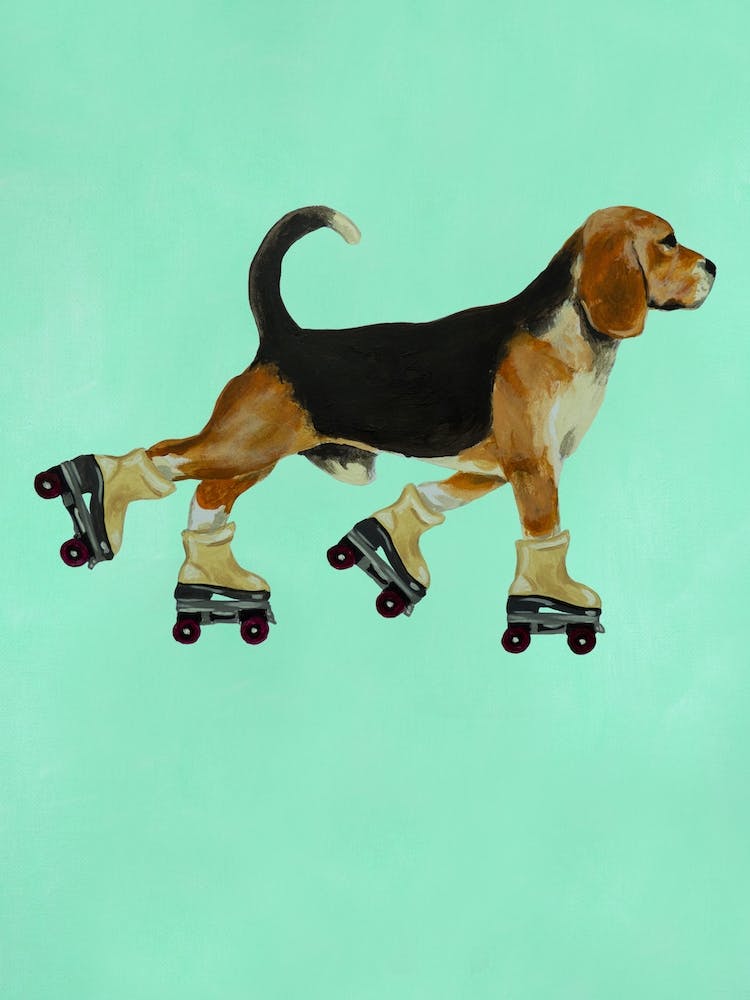 Beagle With Rollerskates