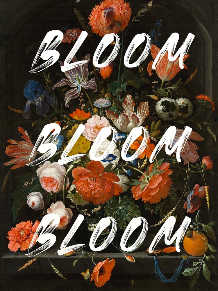 Bloom
