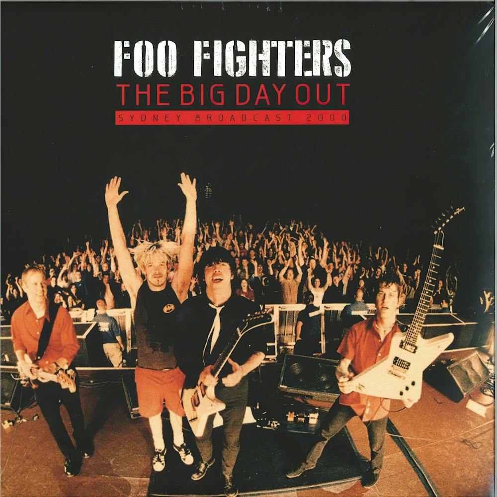 Foo Fighter Album (19)