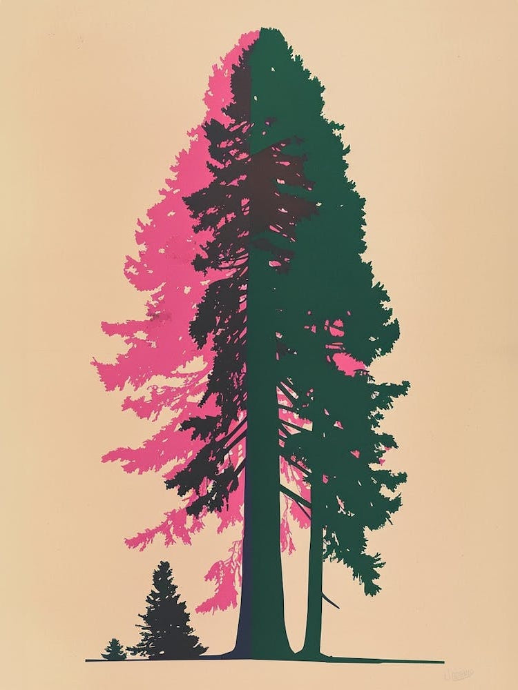 Redwood Tree Colourful Illustration 4