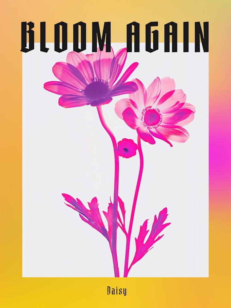 Hot Pink Daisy 2 Poster