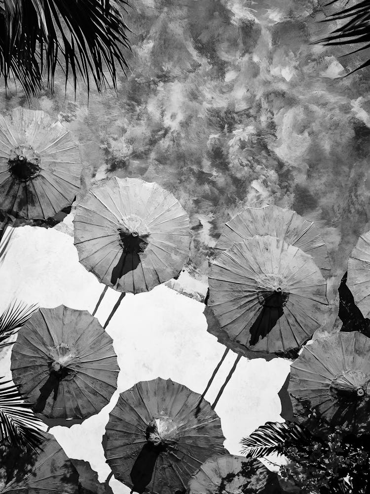 Umbrellas In The Water 1