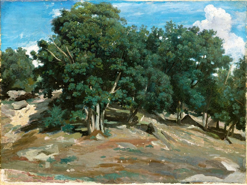 Fontainebleau Oak Trees At Bas Bréau, Camille Pissarro
