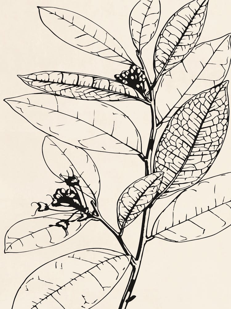 Leaf On A Branch