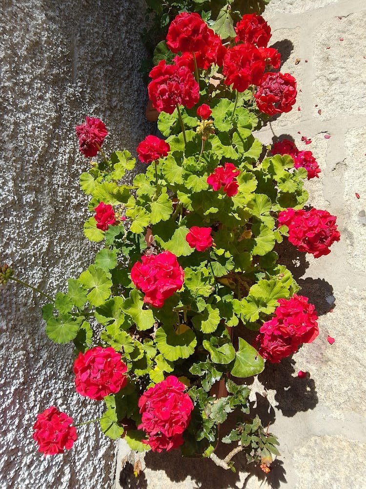 Img 20240528 142801 Hdr