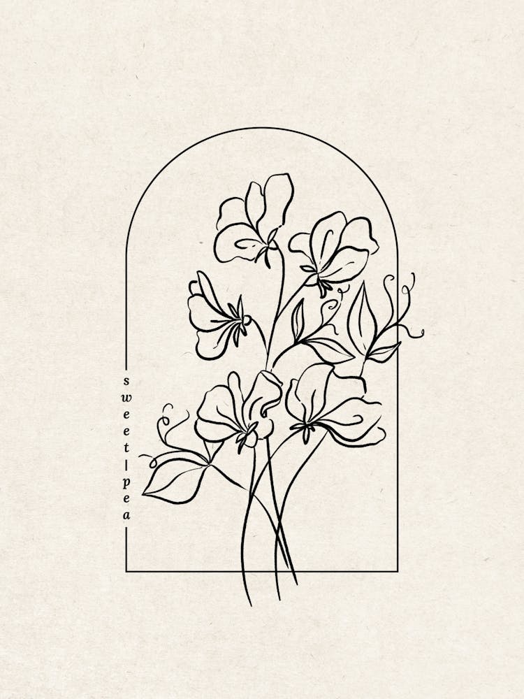 Sweet Pea Flower