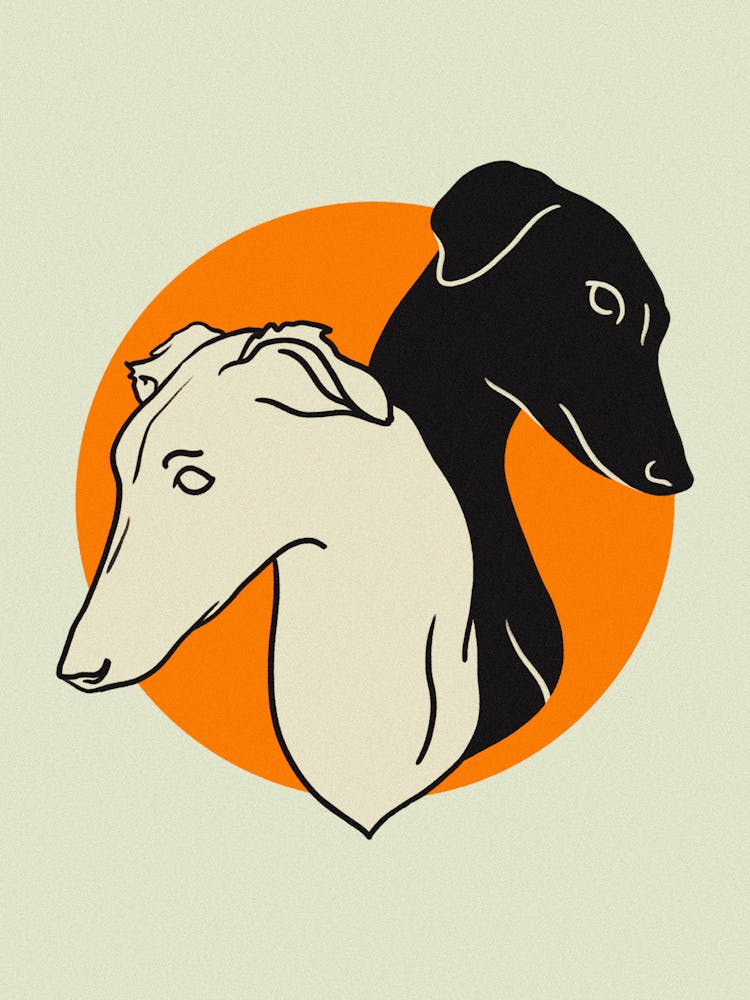 Twin Sighthounds