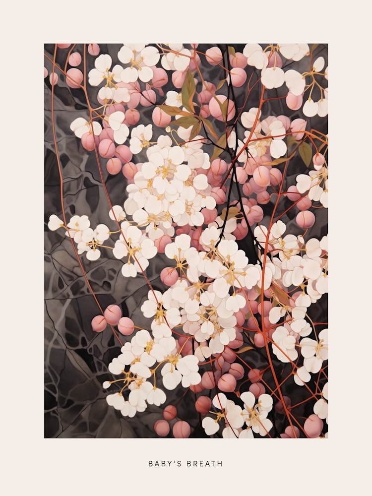 Flower Illustration Babys Breath 4 Poster