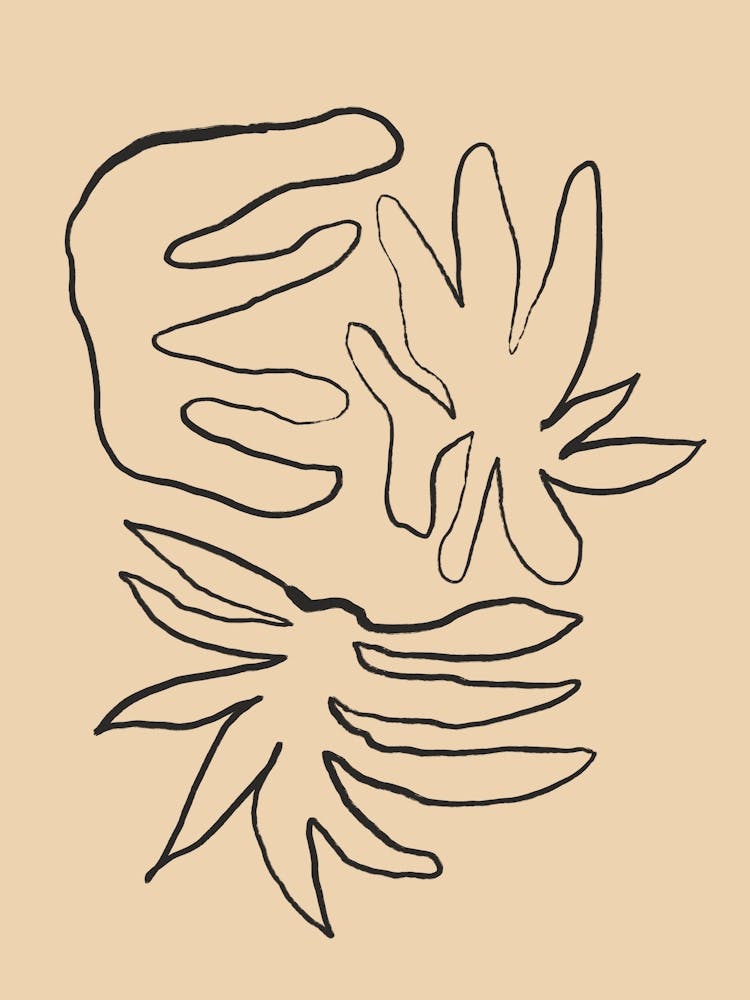 Pure forms no 16