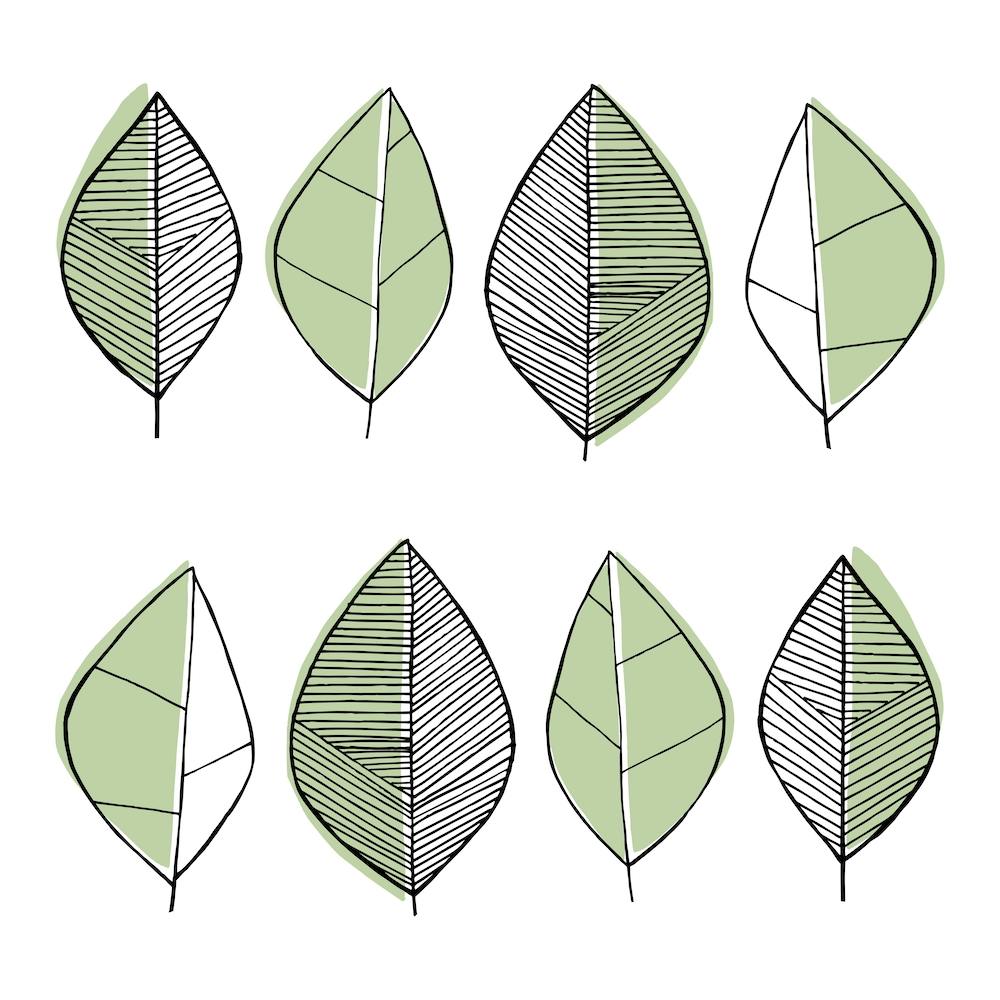 Leaves Sage Green Square