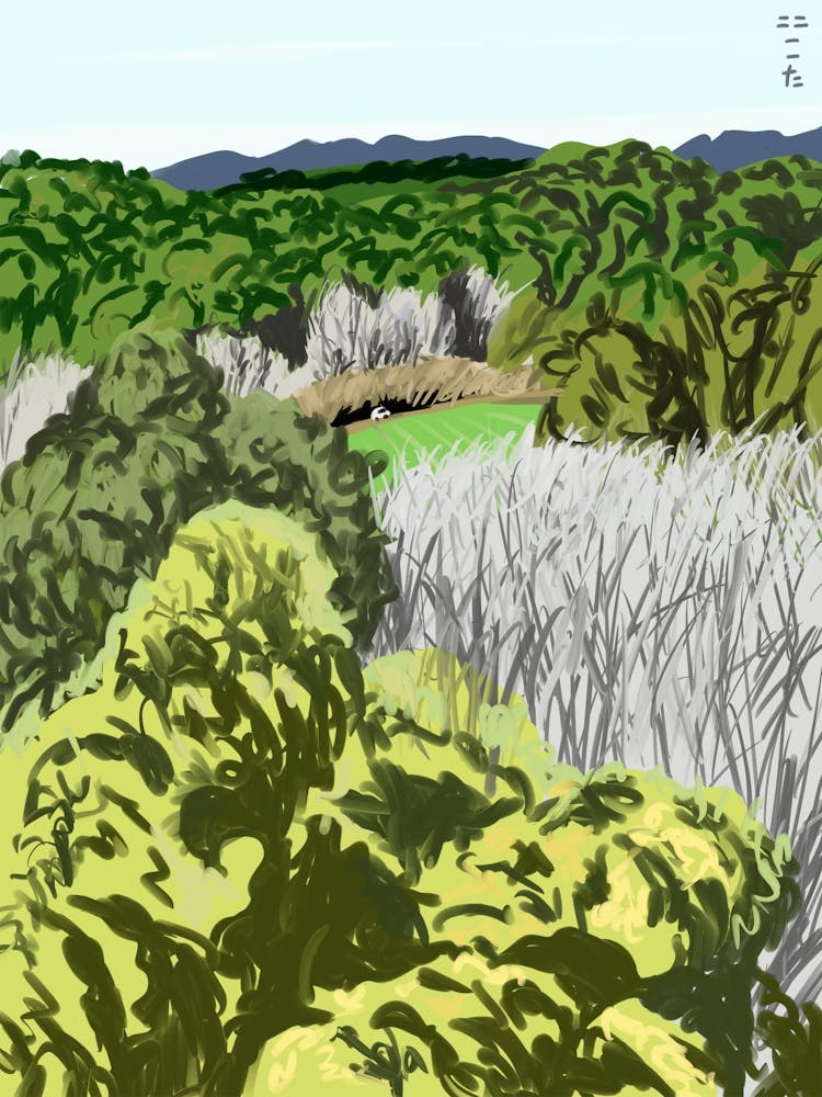 Every Day Is A New Day