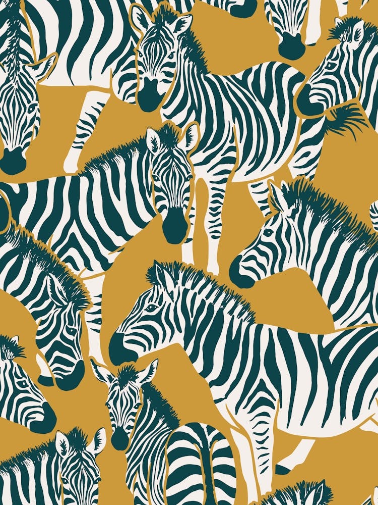 Avant Zebra