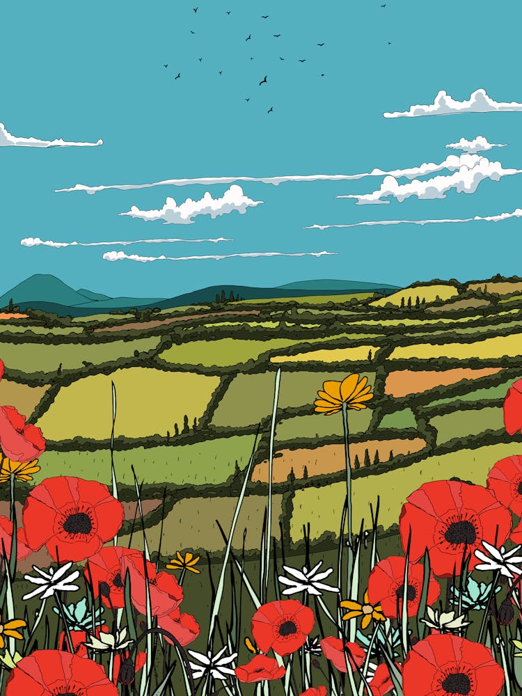 Mohnblumen auf dem Feld