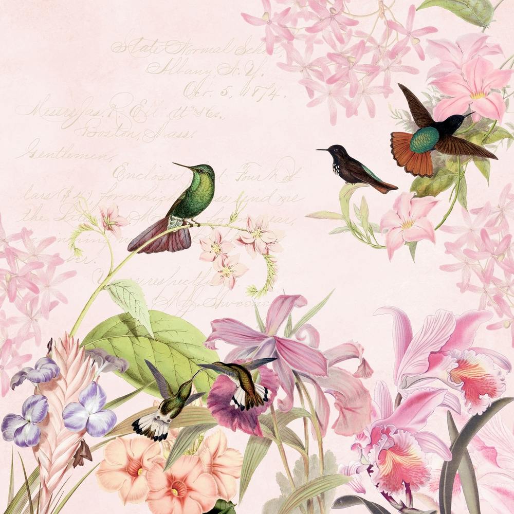 Hummingbirds And Tropical Flowers
