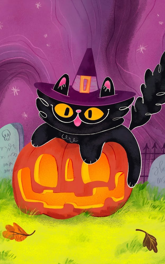 Magic Hour Black Cat Halloween