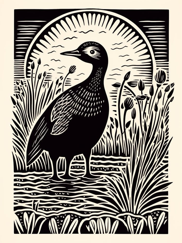 B&W Bird Linocut Coot 2