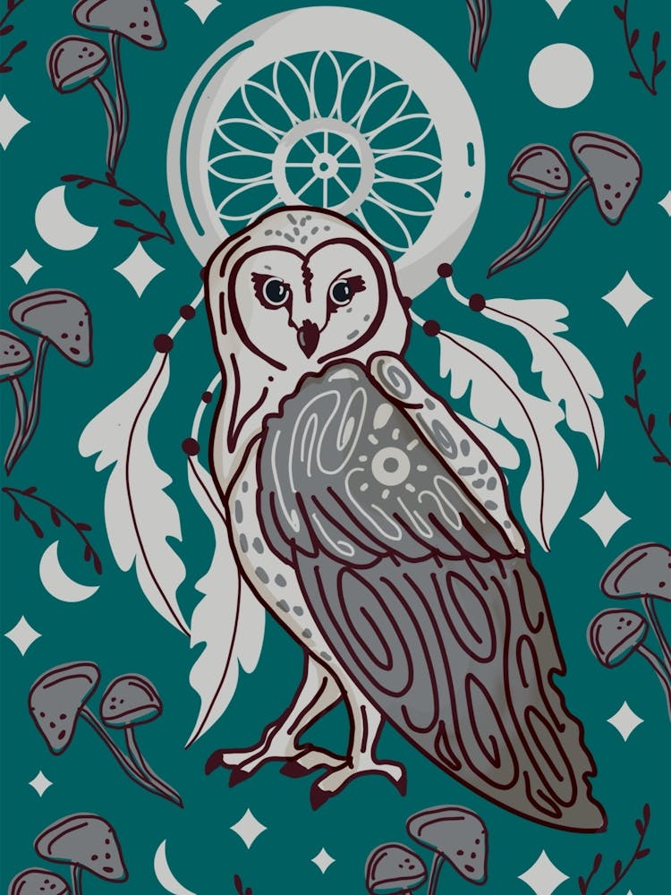 Dreamcatcher owl