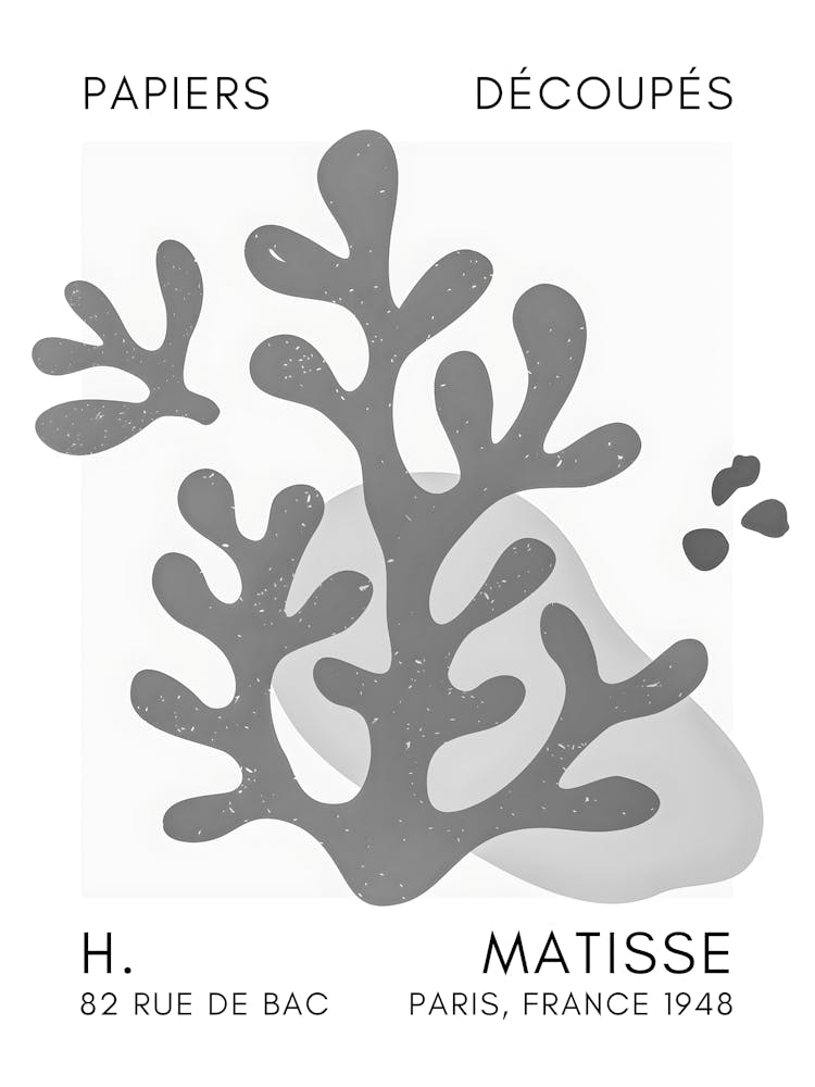 H Matisse 17