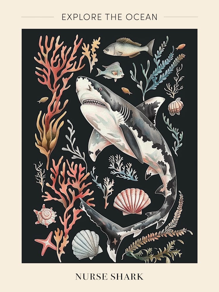 Nurse Shark Seascape Black Background Illustration 1 Poster