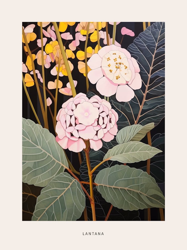 Illustration Florale Lantana 4 Affiche