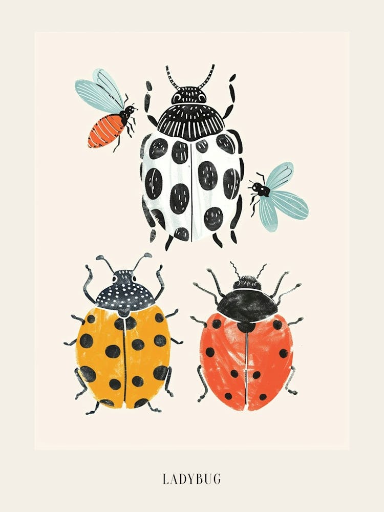 Colourful Insect Illustration Ladybug 6 Poster