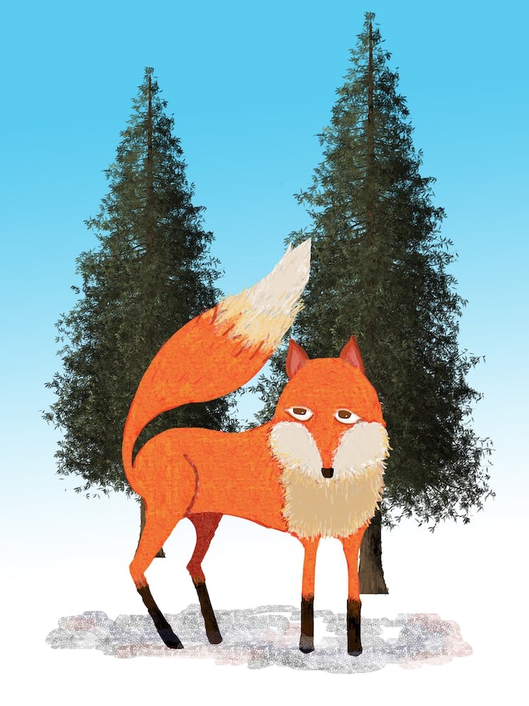 The Fox