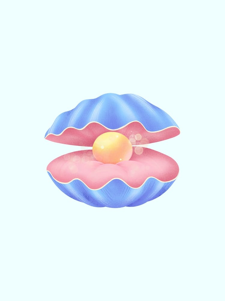 Shell With An Egg Inside