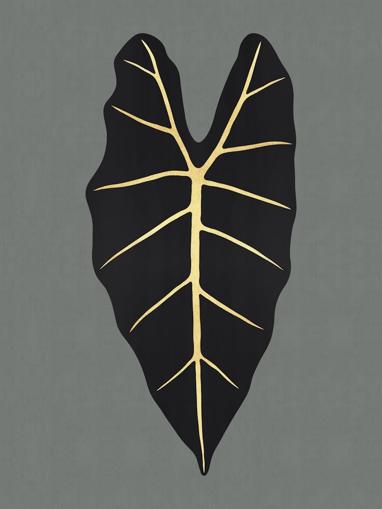 Black and gold leaves 4