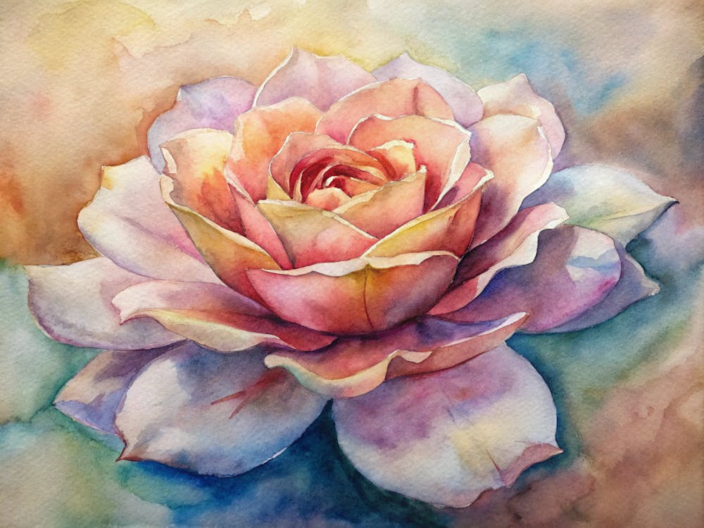 Rose Watercolor Painting