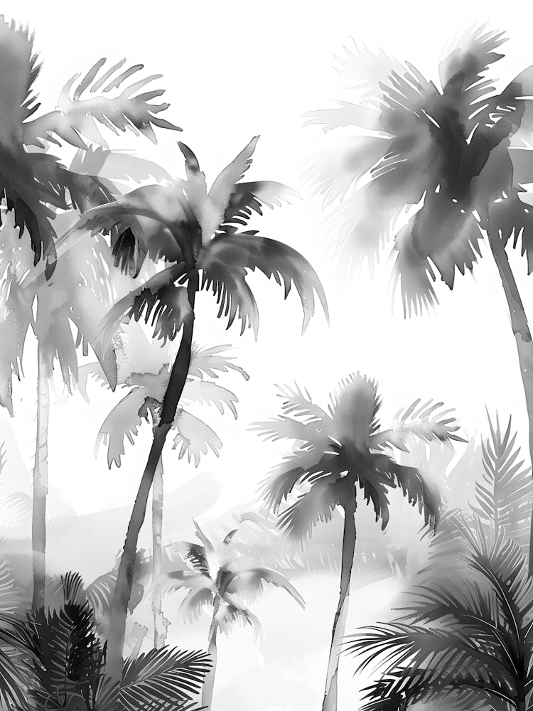 Black And White Of Palm Trees 1