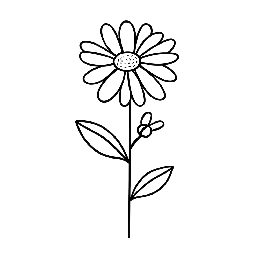 Daisy April Birth Month Flower