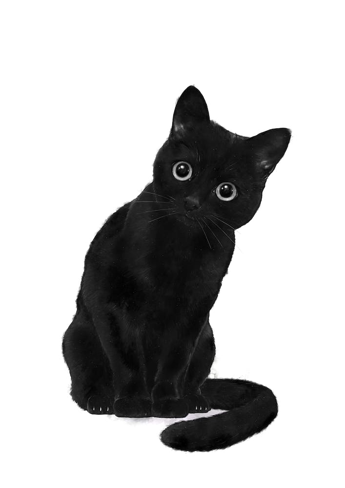 Spooky Cute Cat