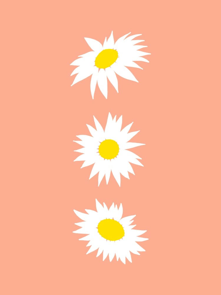 Daisies on a Peach Background
