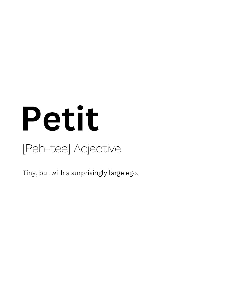 Petit Definition Meaning